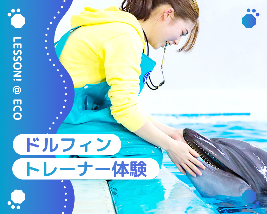 大阪ＥＣＯ動物海洋専門学校