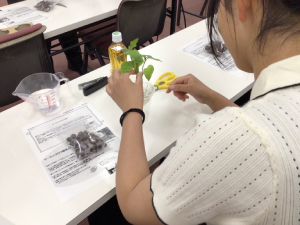 愛甲農業科学専門学校