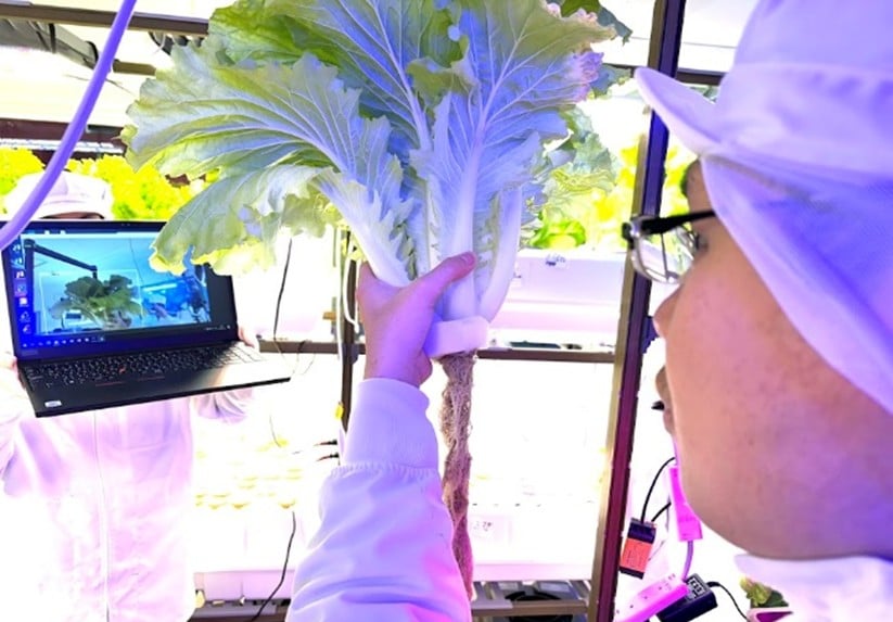 愛甲農業科学専門学校