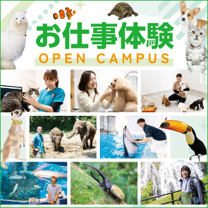 仙台ＥＣＯ動物海洋専門学校