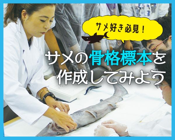 ＴＣＡ東京ＥＣＯ動物海洋専門学校