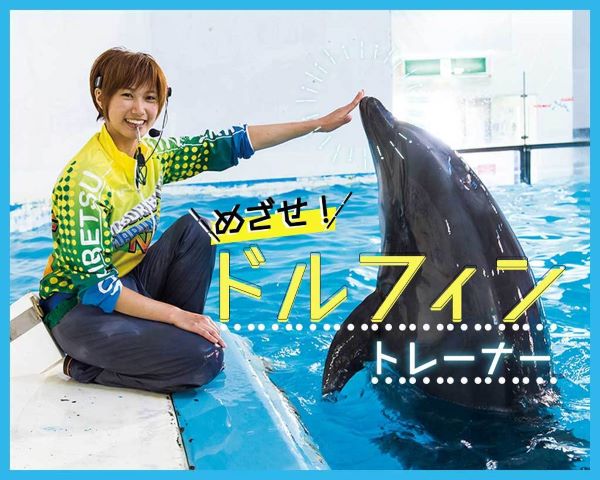 めざせ！ドルフィントレーナー／ＴＣＡ東京ＥＣＯ動物海洋専門学校