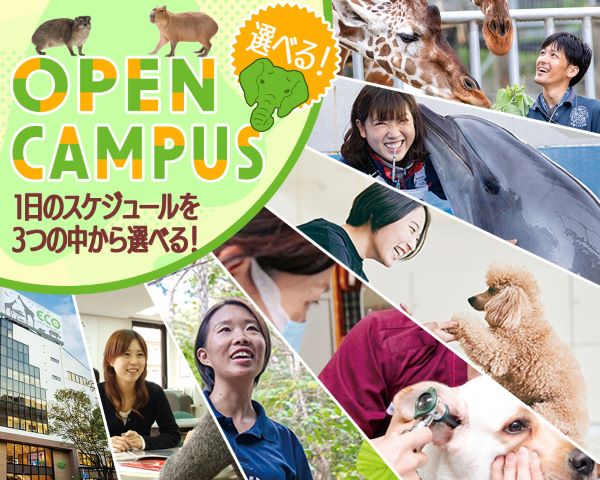 選べる！オープンキャンパス！／ＴＣＡ東京ＥＣＯ動物海洋専門学校