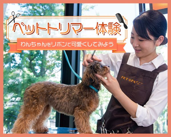 ペットトリマー体験／ＴＣＡ東京ＥＣＯ動物海洋専門学校
