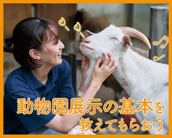 動物園展示の基本を教えてもらおう／ＴＣＡ東京ＥＣＯ動物海洋専門学校