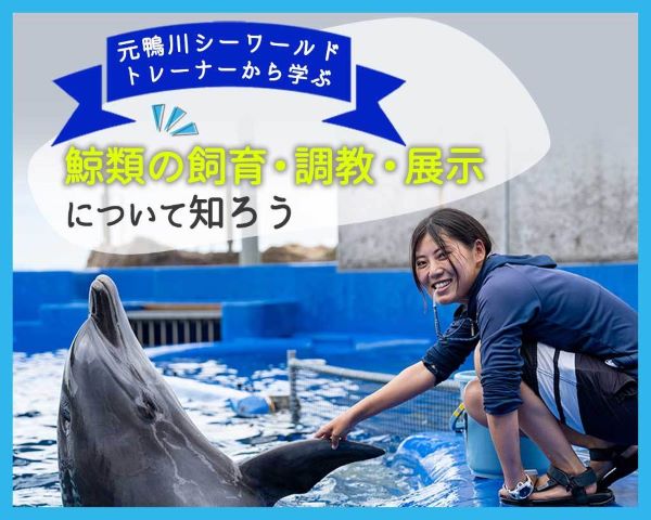 元鴨川シーワールドトレーナーから学ぶ　～鯨類の飼育・調教・展示について～／ＴＣＡ東京ＥＣＯ動物海洋専門学校