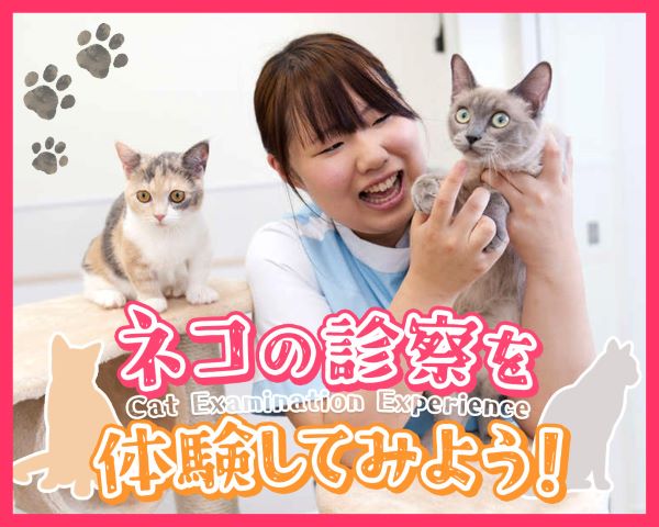 ＴＣＡ東京ＥＣＯ動物海洋専門学校