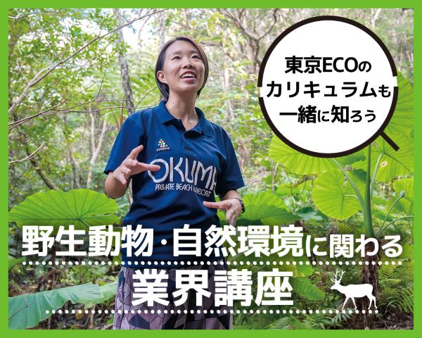 野生動物・自然環境に関わる業界講座！～東京ECOのカリキュラムも一緒に知ろう～／ＴＣＡ東京ＥＣＯ動物海洋専門学校