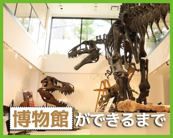 博物館ができるまで／ＴＣＡ東京ＥＣＯ動物海洋専門学校