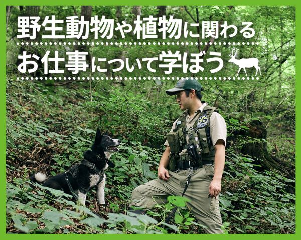 野生動物や植物に関わるお仕事について学ぼう／ＴＣＡ東京ＥＣＯ動物海洋専門学校