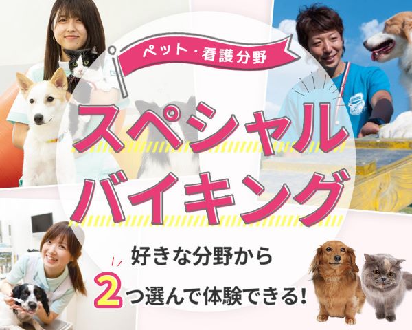 ペット・看護分野スペシャルバイキング／ＴＣＡ東京ＥＣＯ動物海洋専門学校