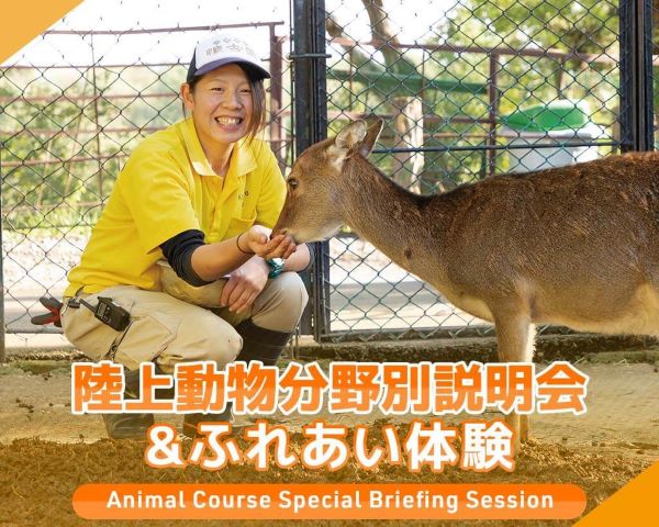 陸上動物分野別説明会＆ふれあい体験／ＴＣＡ東京ＥＣＯ動物海洋専門学校