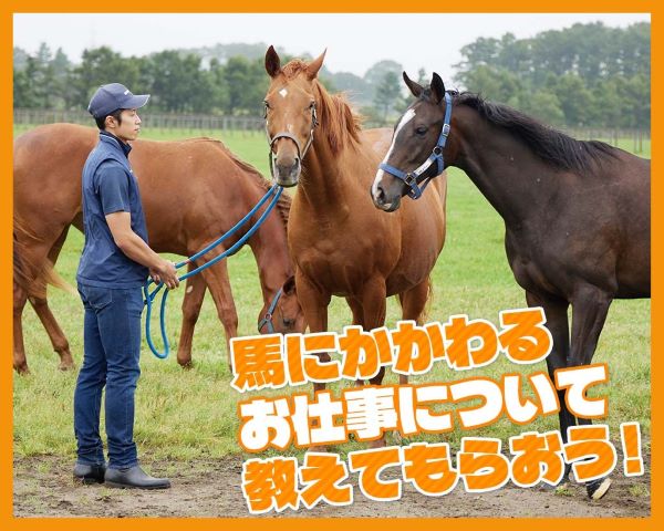 馬にかかわるお仕事について教えてもらおう！／ＴＣＡ東京ＥＣＯ動物海洋専門学校