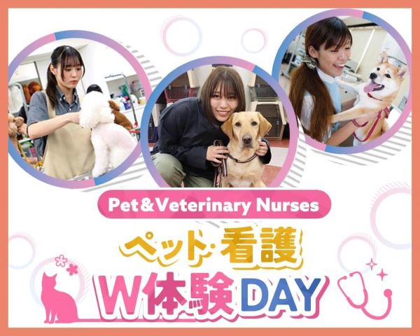 ペット・看護W体験DAY／ＴＣＡ東京ＥＣＯ動物海洋専門学校