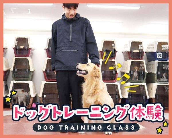 ドッグトレーニング体験／ＴＣＡ東京ＥＣＯ動物海洋専門学校