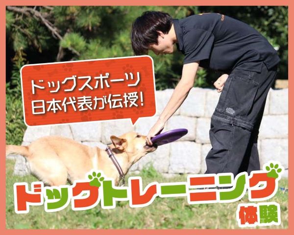 ドッグスポーツ日本代表が伝授！ドッグトレーニング体験／ＴＣＡ東京ＥＣＯ動物海洋専門学校