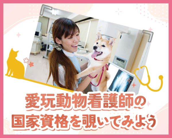 愛玩動物看護師の国家資格を覗いてみよう／ＴＣＡ東京ＥＣＯ動物海洋専門学校