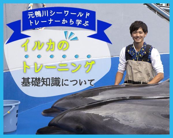 TCA東京ECO動物海洋専門学校