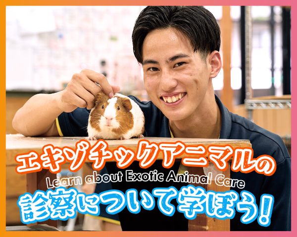 TCA東京ECO動物海洋専門学校