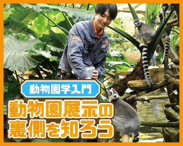 動物園展示の裏側を知ろう／ＴＣＡ東京ＥＣＯ動物海洋専門学校