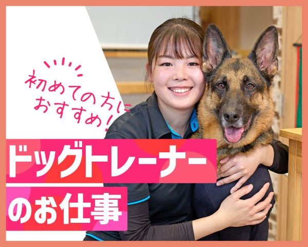 ドッグトレーナー体験／ＴＣＡ東京ＥＣＯ動物海洋専門学校