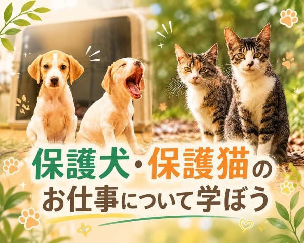TCA東京ECO動物海洋専門学校