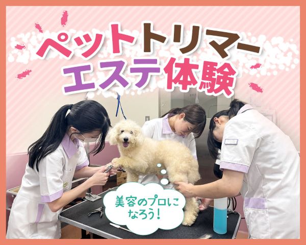 ペットトリマースペシャルエステ体験／ＴＣＡ東京ＥＣＯ動物海洋専門学校