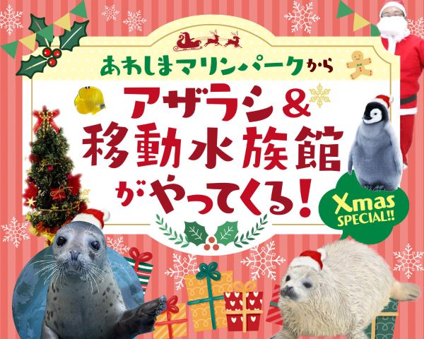 あわしまマリンパークからアザラシ＆移動水族館がやってくる！／ＴＣＡ東京ＥＣＯ動物海洋専門学校
