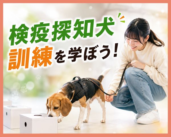 検疫探知犬訓練を学ぼう！／ＴＣＡ東京ＥＣＯ動物海洋専門学校