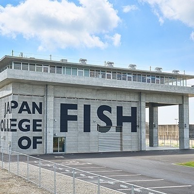 日本さかな専門学校
