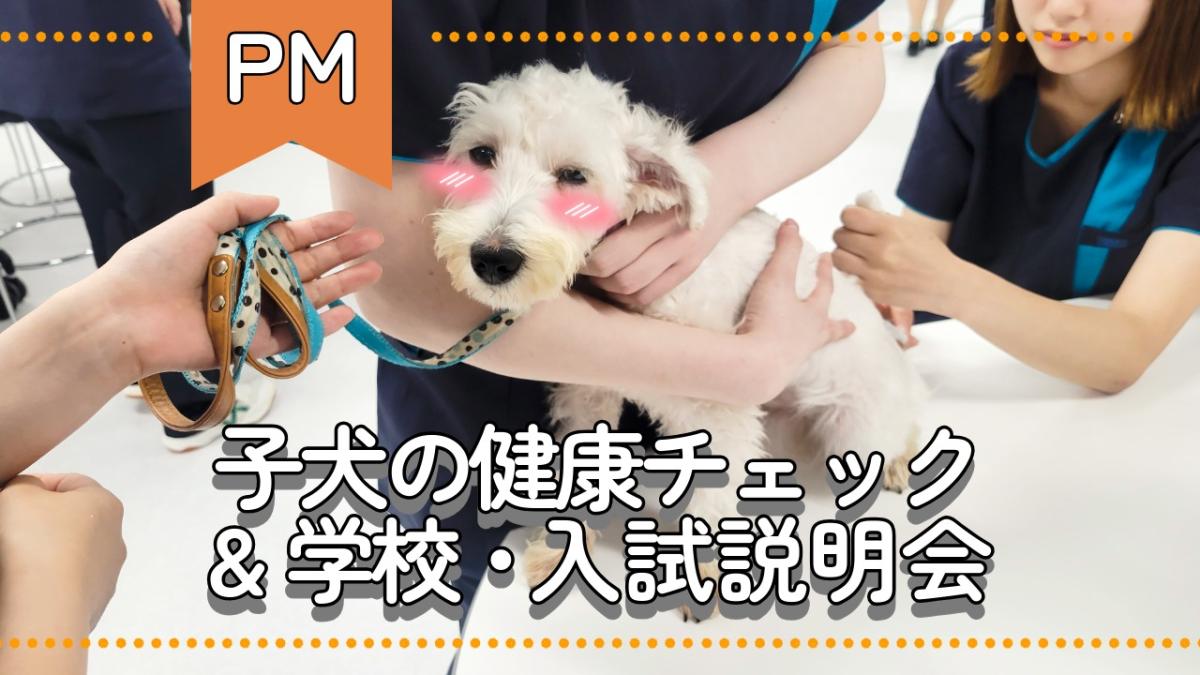 横浜動物専門学校