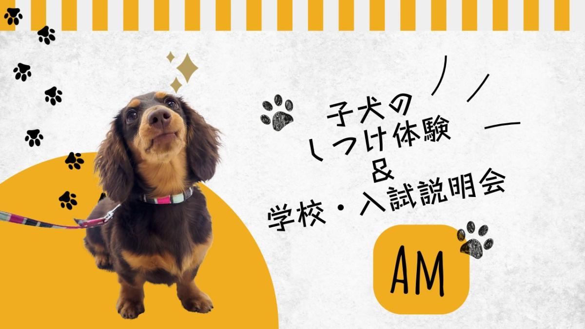 横浜動物専門学校
