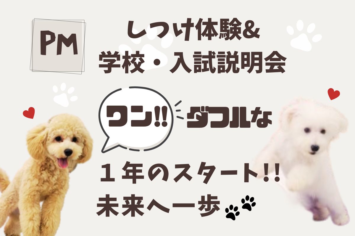 横浜動物専門学校