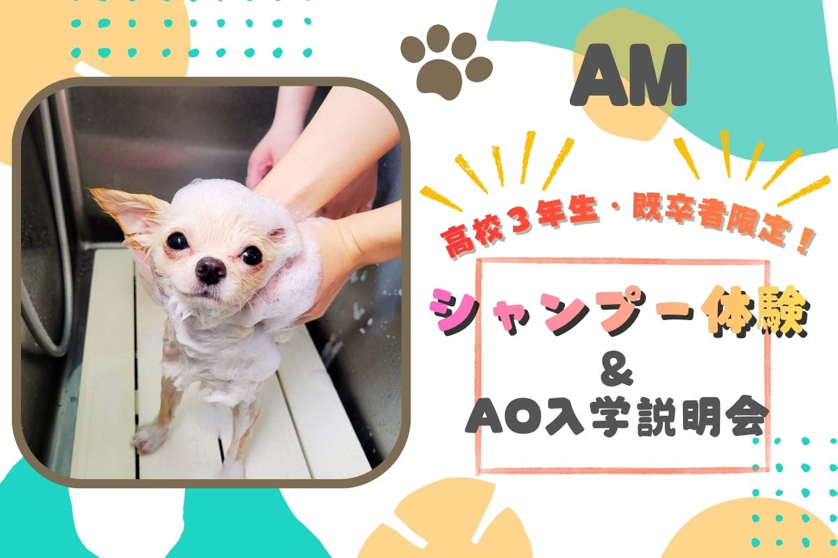 横浜動物専門学校