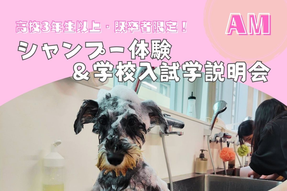 横浜動物専門学校