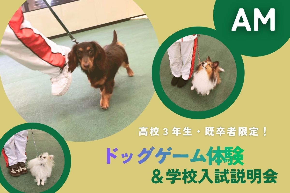 横浜動物専門学校