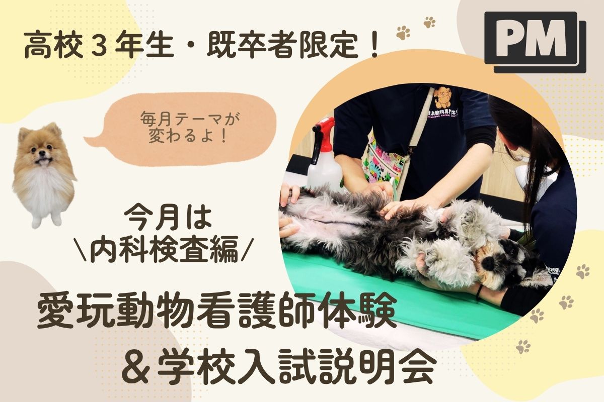 横浜動物専門学校