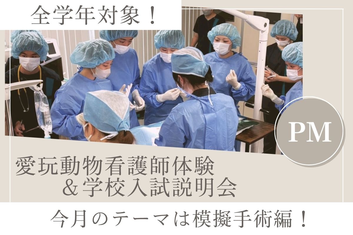横浜動物専門学校