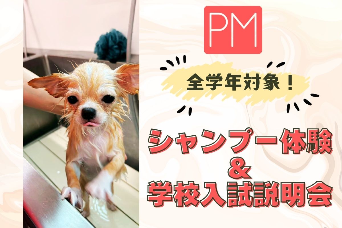 横浜動物専門学校