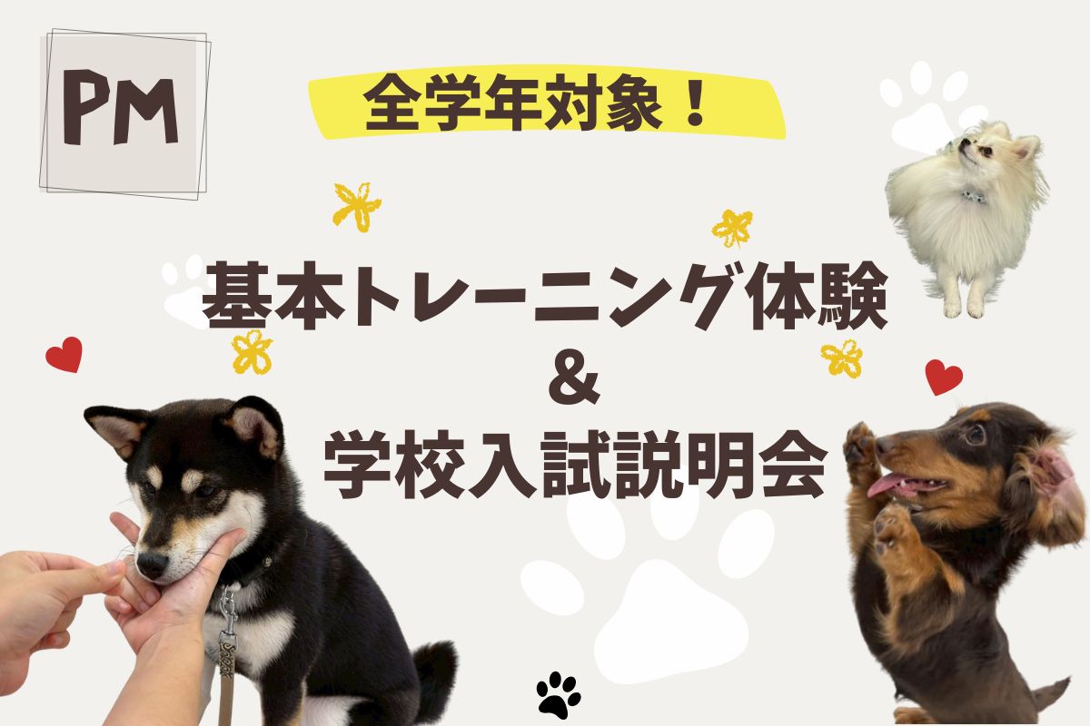 横浜動物専門学校