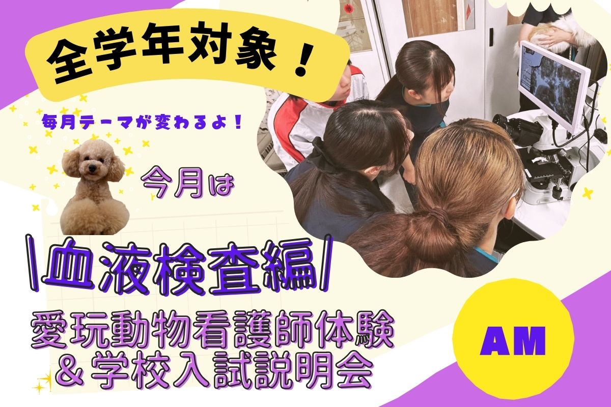 横浜動物専門学校