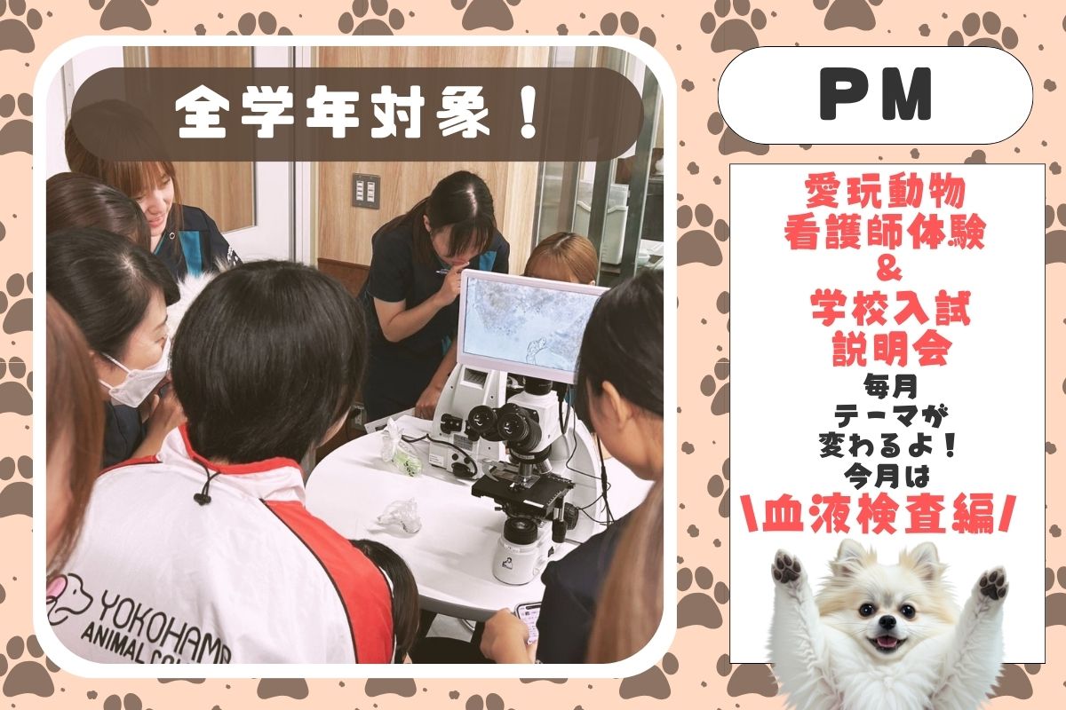 横浜動物専門学校