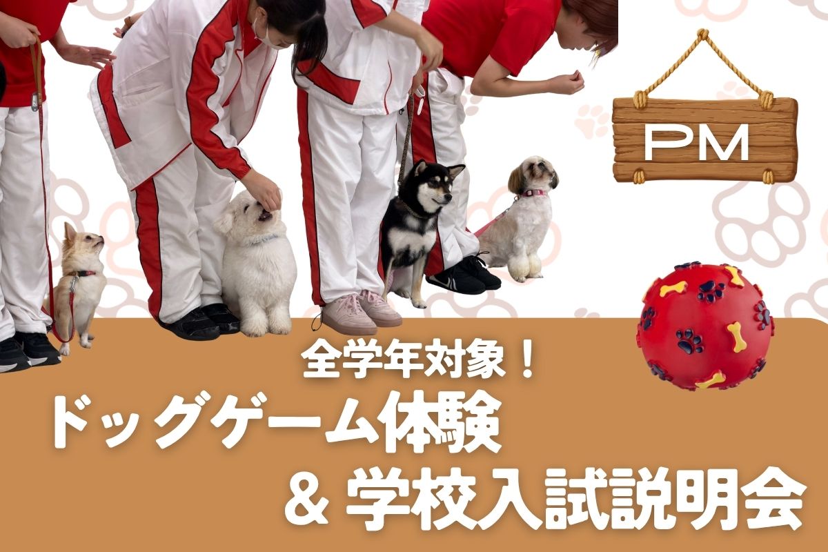 横浜動物専門学校