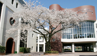 東京文華高等学校