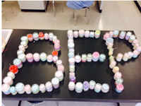 宮城県　仙台白百合学園高校　仙台Blue Earth Projectのみなさん1