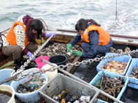 岡山県　山陽女子中学校・高校　地歴部の皆さん2