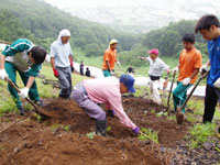 栃木県　佐野松桜高校　ラグビー部のみなさん 1