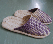 青森県　三本木農業高校　植物科学科のみなさん4