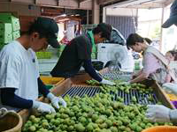 和歌山県　和歌山南陵高校　アスリートコース２年２組のみなさん2