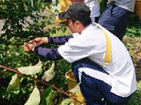 和歌山県　和歌山南陵高校　アスリートコース２年２組のみなさん3